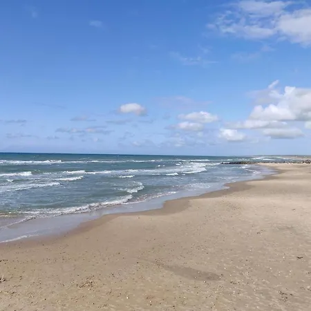 Vakantiehuis 4 Star In Hjorring-by Traum Hjørring